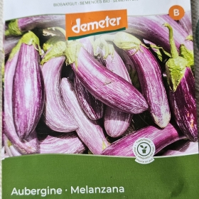 AuberginenBild 2026-05-18 20.26.